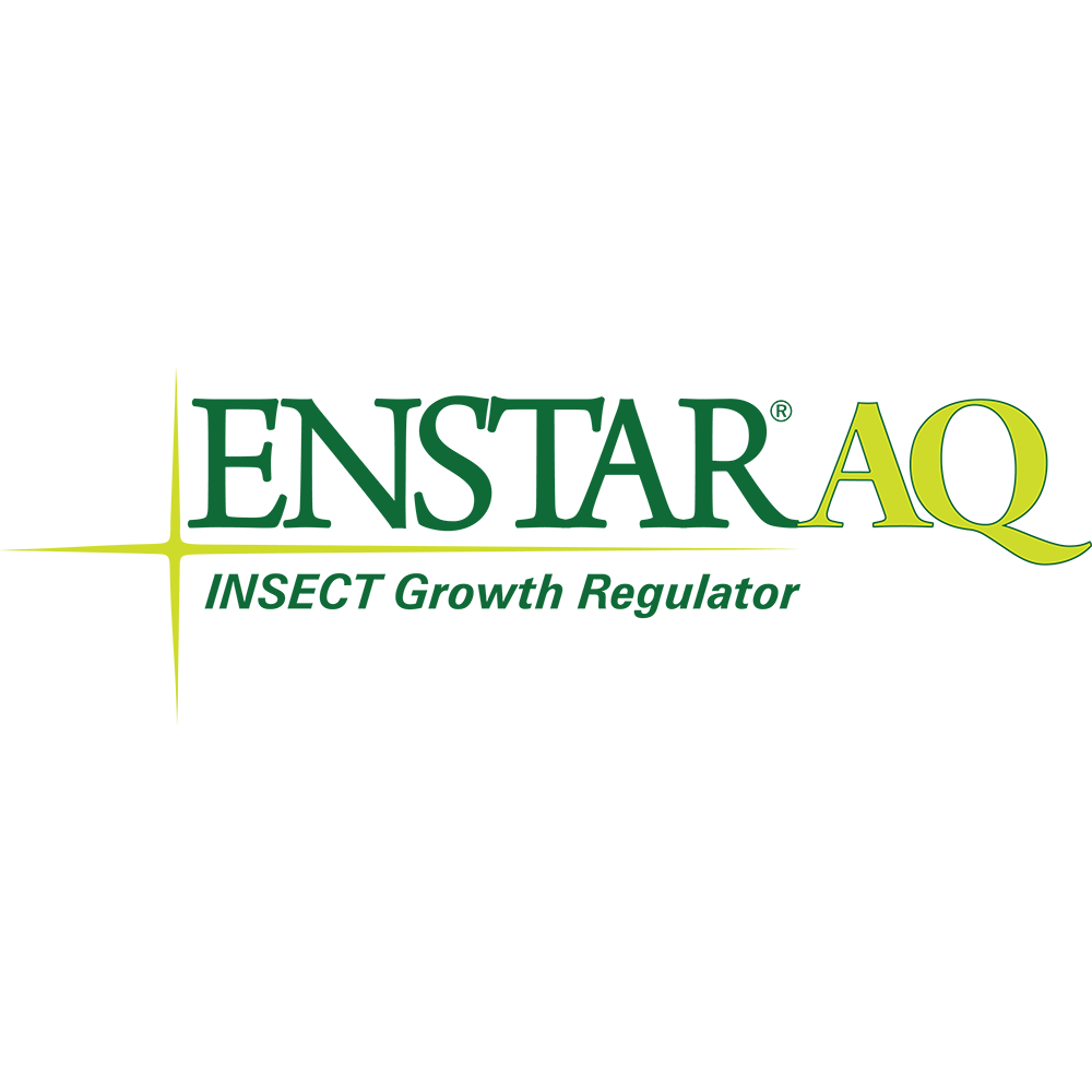 Enstar-AQ