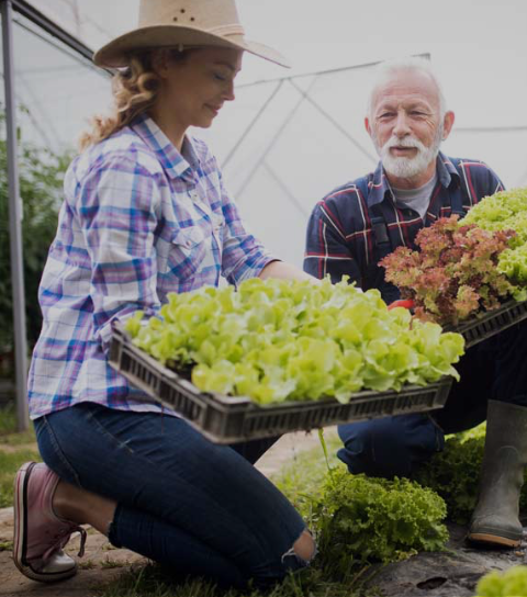 Live Operations button image of people gardening